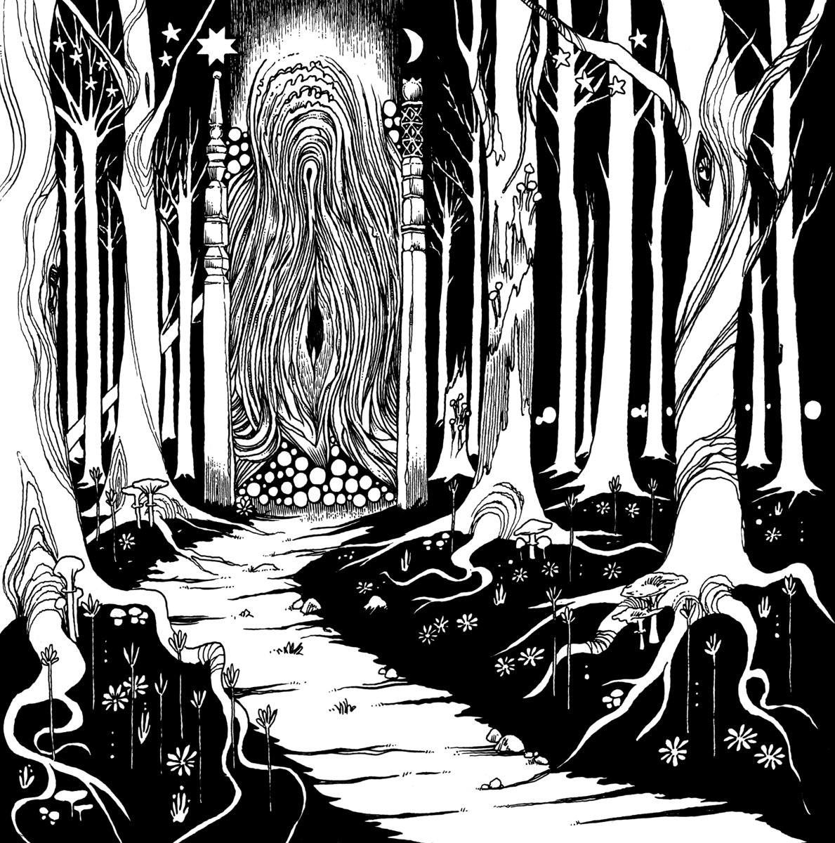 Siculicidium – Land Beyond The Forest