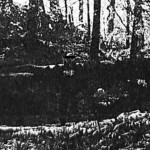 Nativist - Manifestations of Spiritual War