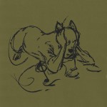 Trailcam - Drumlin Loop